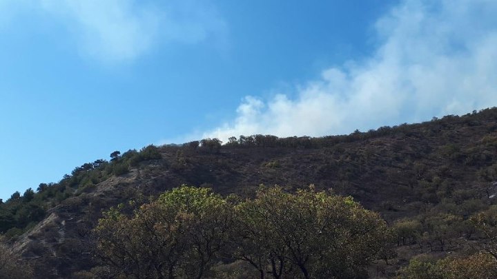 В Новороссийске на время учений огнеборцы пустят дым в городе