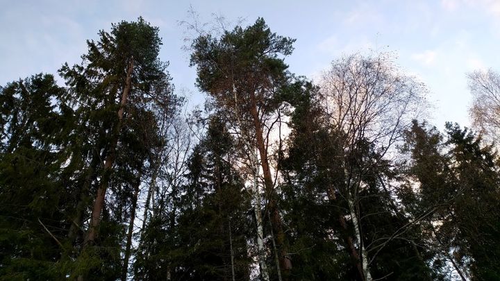 Уаз в свердловской области