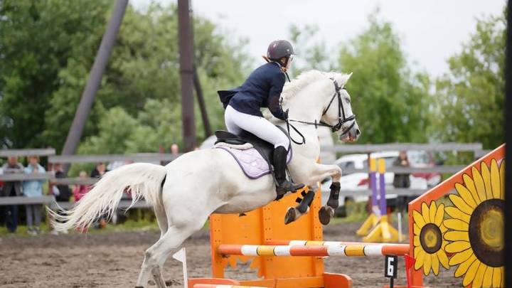 Территорию спортивной школы в Северном округе расширят под занятия конным спортом