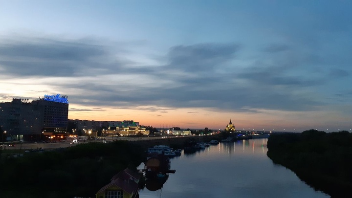 В Нижегородской области открыли охоту на чаек