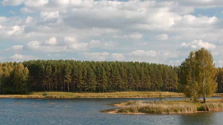 Синоптики раскрыли, когда спадёт жара в Свердловской области