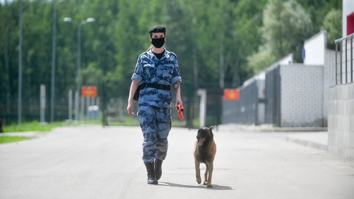 Воронежским террористам присудили более 80 лет заключения: Они готовились убивать русских в Сирии