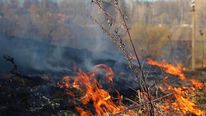 Около 60 лесных пожаров бушует в Забайкалье