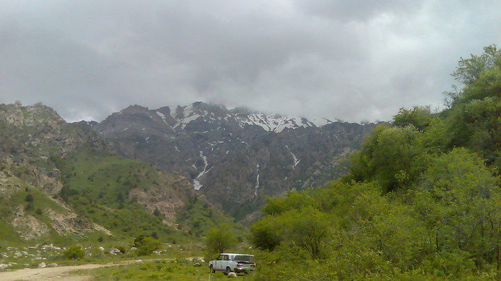 Сын и отец-пенсионер найдены живыми после недели поисков в горах близ Сочи