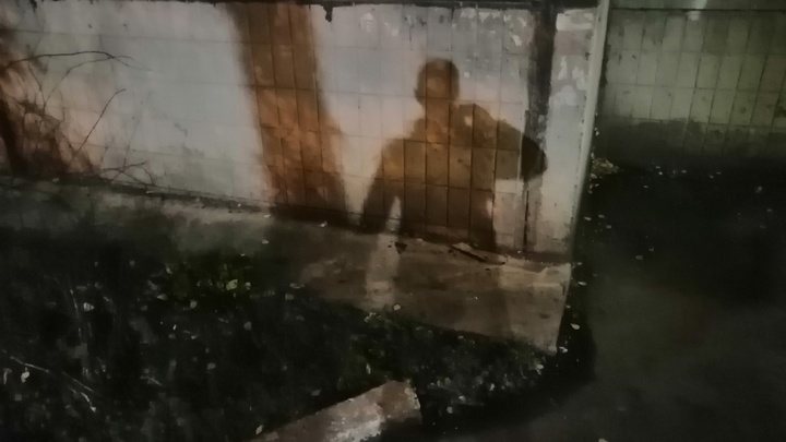 Влюбилась в мигранта: пропавшую в Челябинской области 13-летнюю девочку изнасиловали