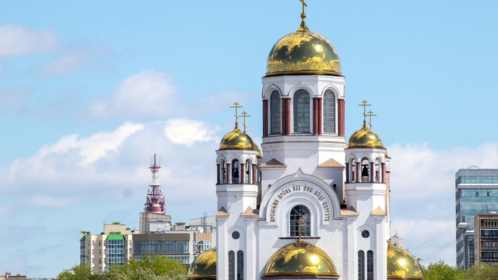 Екатеринбургский митрополит призвал отменить аборты