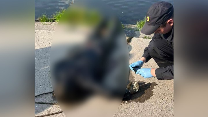 В Магнитогорске по реке Урал мимо набережной плыл труп