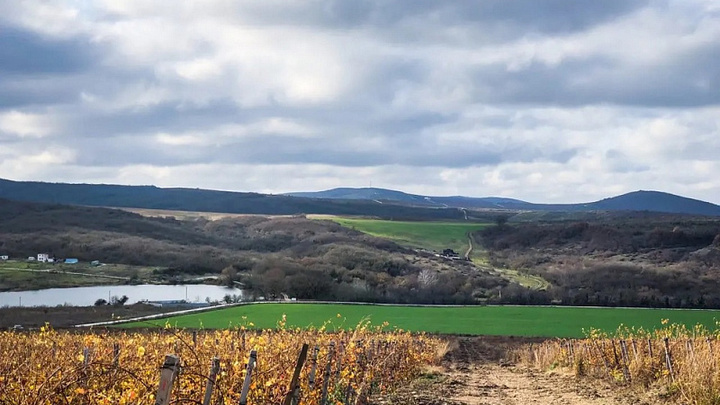 Лучшей винодельней года в России признали Абрау-Дюрсо