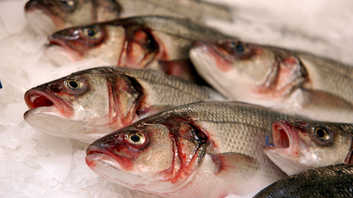 Рыбу для детских садов и школ Новосибирска закупали от имени уволенного сотрудника