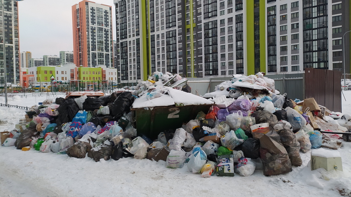В Новосибирской области начата процедура банкротства регионального мусорного оператора