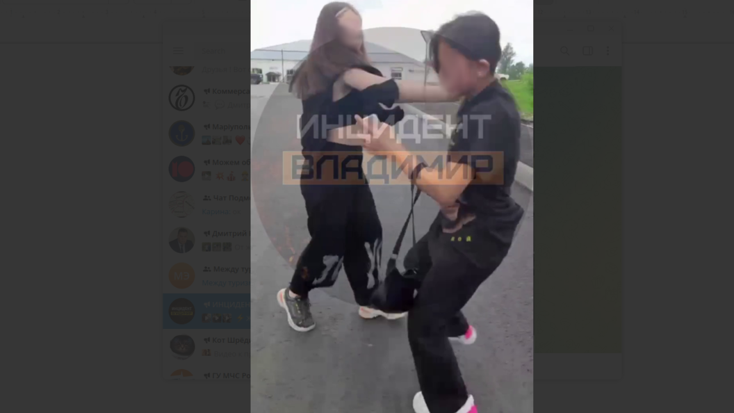 Полиция отреагировала на избиение 13-летней школьницы сверстницами в Судогде