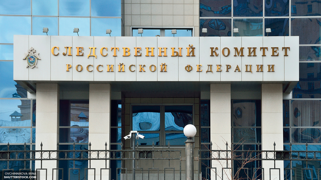 Участникам протестов в Москве платили за задержание - СК Участникам протестов в Москве платили за задержание - СК
