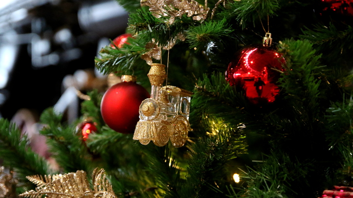 В центре Мелитополя установили главную елку