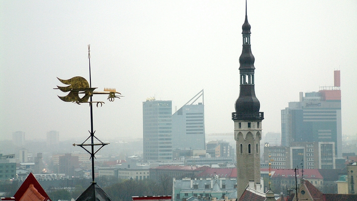 Это сумасшествие: Эстонский депутат устроила бунт из-за поставок оружия на Украину