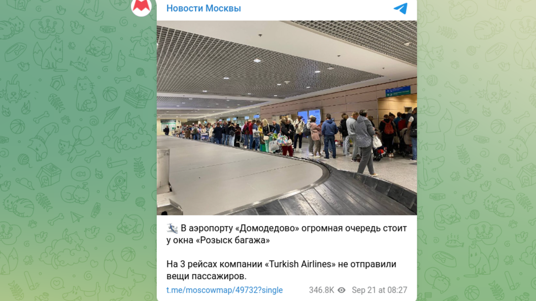 Очередь в аэропорту. Аэропорт Домодедово. Очередь в аэропорту Домодедово. Очереди в аэропортах Москвы.