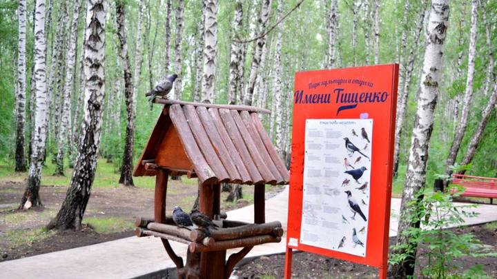 Познавательная прогулка: в Челябинске появилась первая библиотека в парке