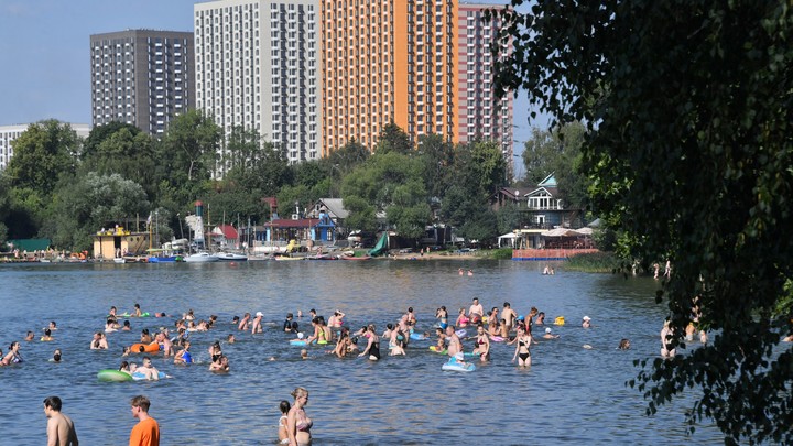 В Екатеринбурге жители отстояли пляж у Верх-Исетского пруда от человейников