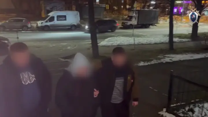 Мать обезглавленного в Балашихе ребёнка созналась в преступлении