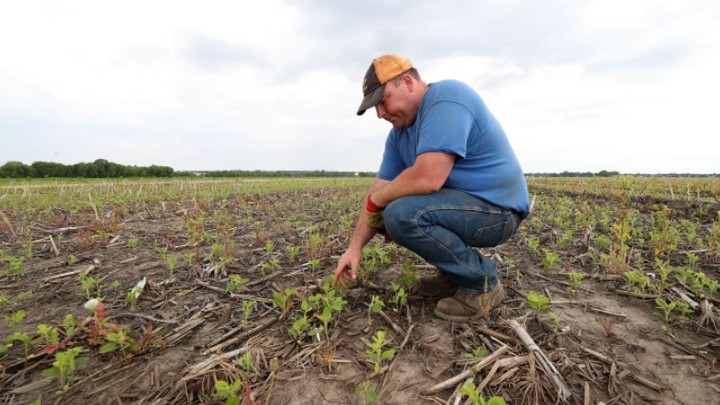 Россия - убежище и спасение. Кто эмигрирует к нам с Запада?