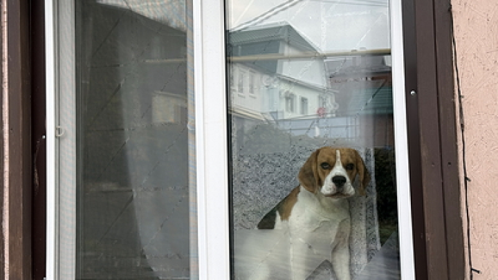 Эксперт Бондарь: слежка за соседями может привести к уголовной ответственности
