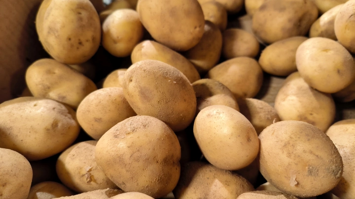 Дороже мандаринов! Почему дорожает картофель в России - мнение агрария
