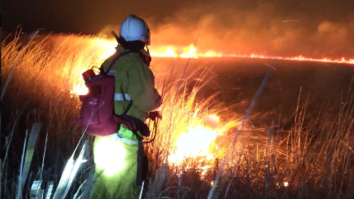 В Темрюкском районе ликвидировали пожар в плавневой зоне Ахтанизовского лимана