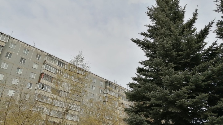 Житель Магнитогорска на глазах у соседей выбросил в подъезд труп