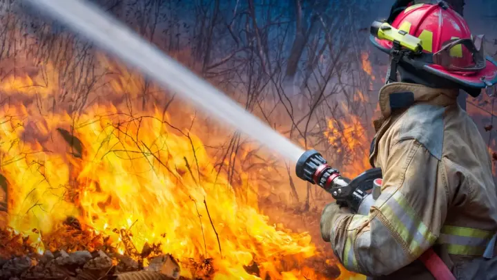 Стена огня подошла к детсаду под Самарой: Эвакуировано 300 детей. Остановить стихию не получается