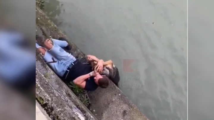 В Сочи два парня спасли бродячую собаку, которая не могла выбраться из реки