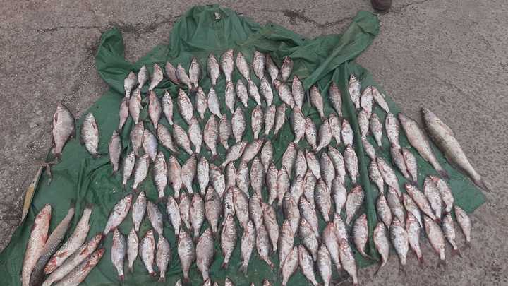 Из Ейского лимана вытащили 200 метров сетей