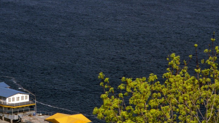 Херсонские острова взяты под особый контроль: План ВСУ по пересечению Днепра просчитан