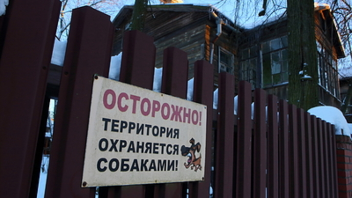 В полиции прокомментировали нападение алабая на нижегородку