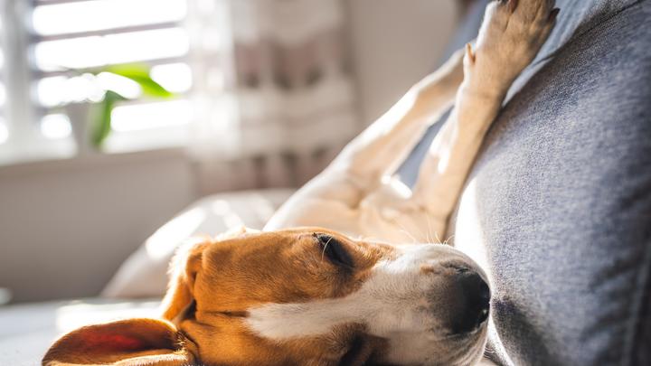 Семь запретов для хорошего сна: Сомнологи дали простейшие советы