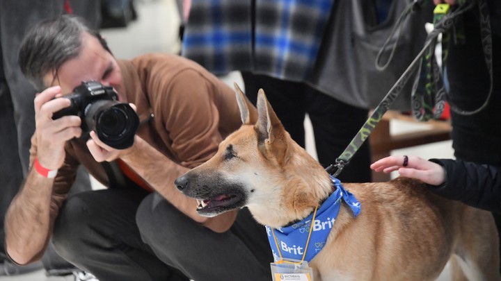 Дельфийские игры в Коми 2022: кто будет ведущим и что нас ожидает