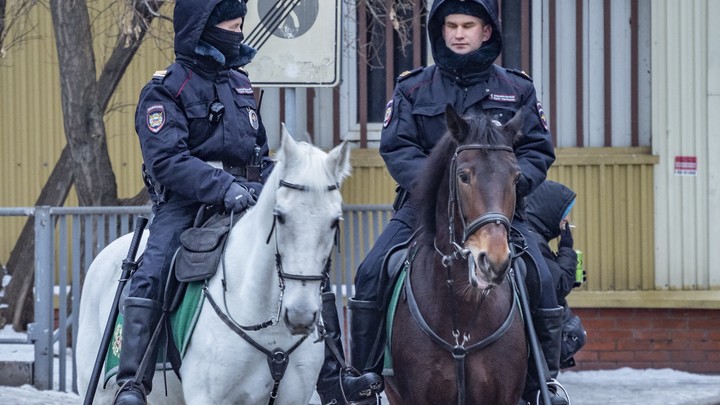Конная полиция возвращается в Петербург – не прошло и 60 лет