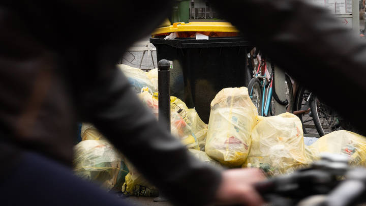 Экоактивистов со всей Москвы объединит забег в музее-заповеднике Царицыно