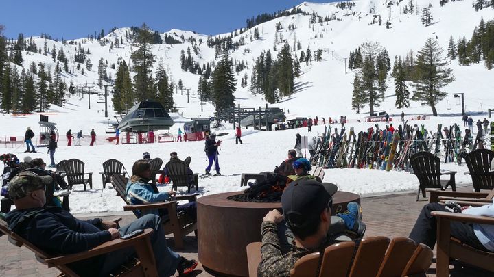 Лыжник едва не протаранил медведя и внезапно стал сенсацией дня