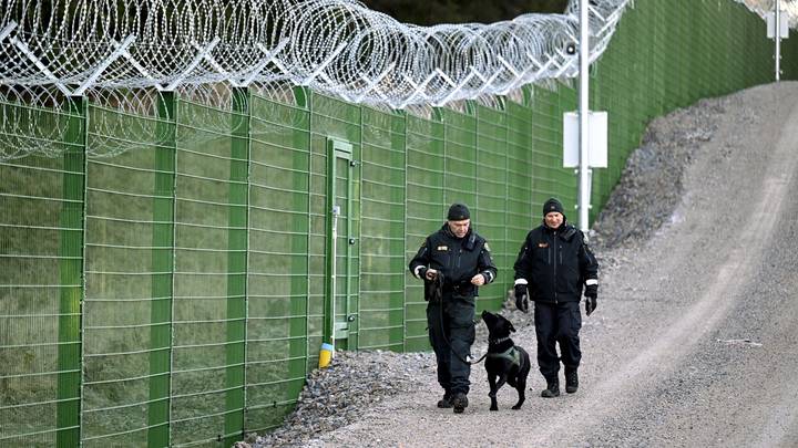 Финнам запретят наблюдать за дикой природой на границе с Россией