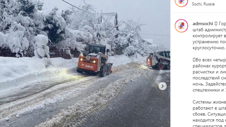 Последствия непогоды в Сочи: За ночь на курорте под тяжестью снега рухнули 35 деревьев