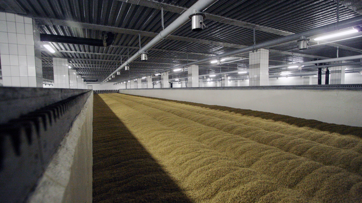 Жара. Искра. Взрыв: Эксперт с ходу обнулил обвинения Турции в диверсии на элеваторе