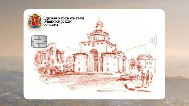 Пилотный вариант единой карты жителя Владимирской области выпустят в 2024 году