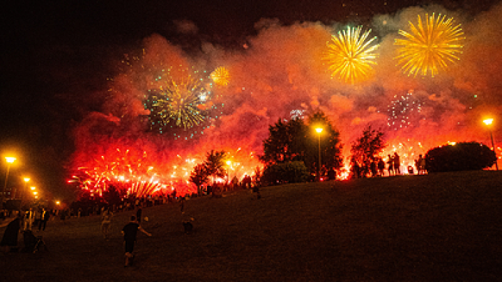 Идёт волна фейковых штрафов: эксперт рассказал,можно ли шуметь и запускать салюты в Новый год
