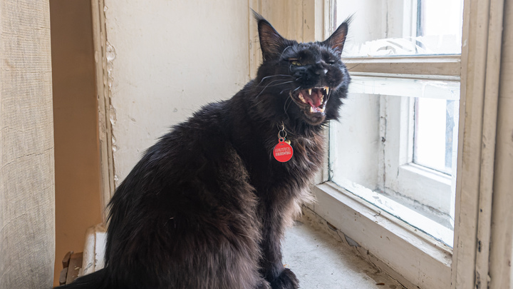 Прокуратура заставила мэрию Нижнего Тагила дать бесплатную квартиру многодетной семье