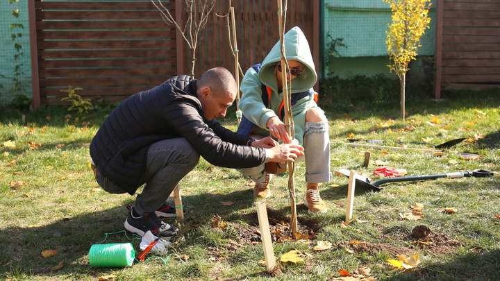 Места для проведения Дня древонасаждения в Ростове 9 апреля: где появятся новые растения