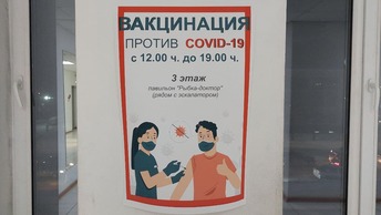 В новокузнецке упало дерево на машину