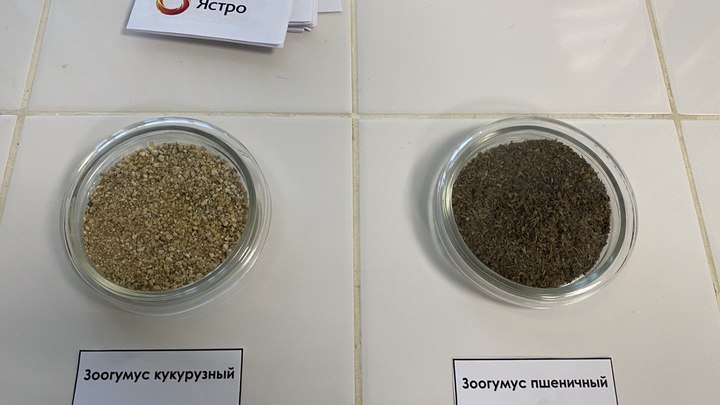 Новосибирские учёные создали корма будущего, полезных клопов и способ оживить озёра