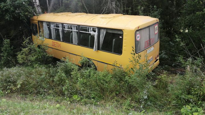 В Прикамье школьный автобус с 15 детьми съехал с трассы и врезался в дерево