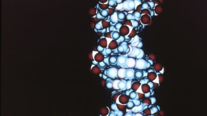 Вкус повреждения мозга. На Skittles подали в суд за изменение ДНК человека