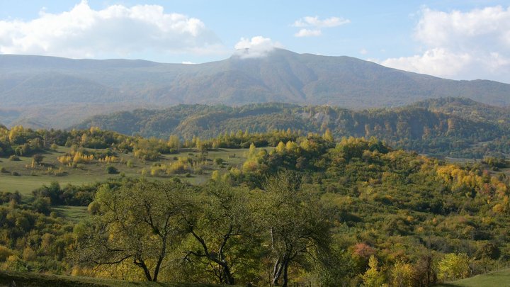 Шайтанов нет: Чеченский министр раскрыл, что жители на самом деле думают о Навальном