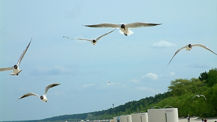 Вильфанд сообщил о пришедшем в Россию опасном явлении